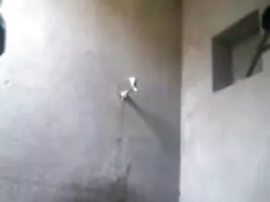 बट बूँदें २ सेक्सी व ...