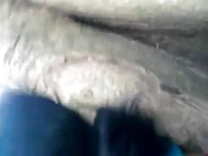 शौकिया सेक्सी वीडियो ...