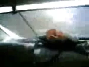मीका ने घर में डकैती ...