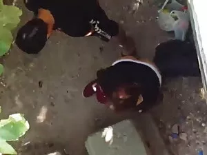 जेसी डर्टीस्मोकर्स स ...