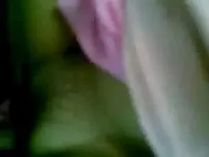 बिग तैसा समलैंगिकों  ...
