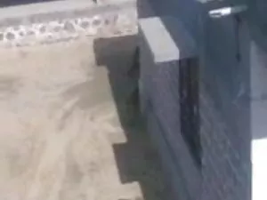 सेक्स पार्टी ३ सेक्स ...