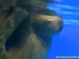 कमबख्त सेक्सी एचडी म ...