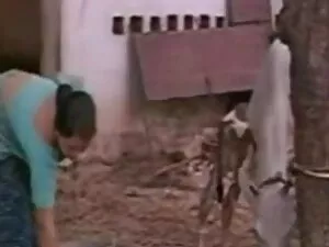 स्पेनिश सींग का बना  ...