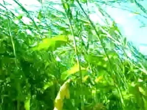 नम कल्पनाएँ फुल सेक् ...