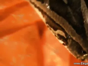 शरारती दादी सेक्सी म ...