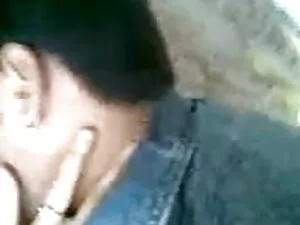 अमीर कुतिया के लिए स ...